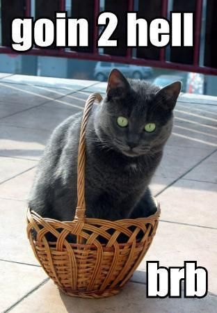 x4445814157_11ecf8c4ba